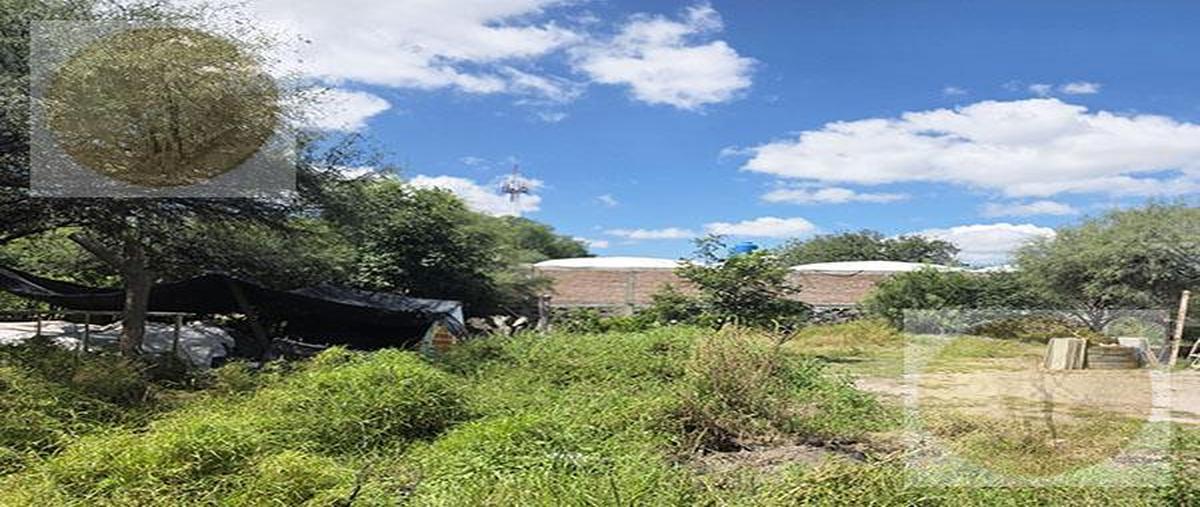 Foto de terreno habitacional en venta en  , morelos centro, tecozautla, hidalgo, 0 No. 05