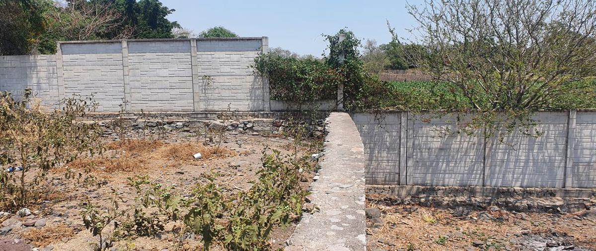 Foto de terreno habitacional en venta en morelos , chantepec (el chante), jocotepec, jalisco, 24873776 No. 04
