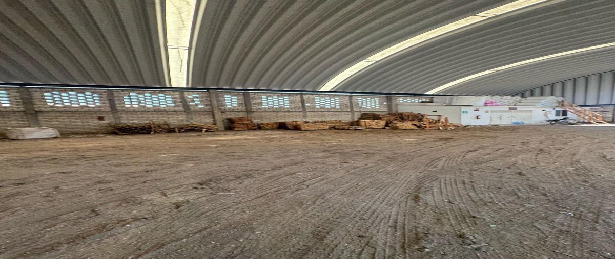 Foto de bodega en venta en morelos , cuautlixco, cuautla, morelos, 0 No. 03