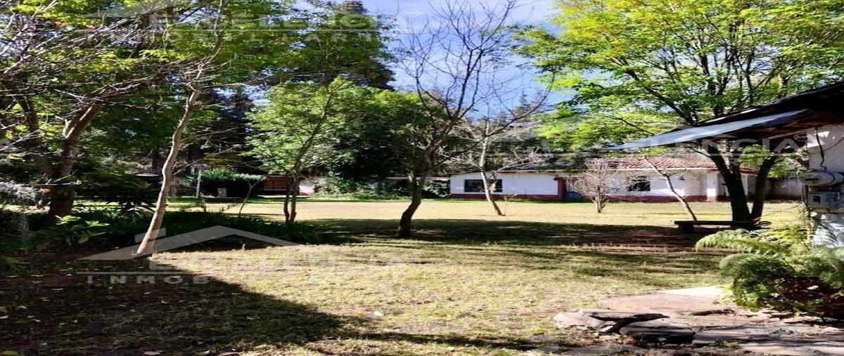 Foto de terreno habitacional en venta en morelos , morelos, pátzcuaro, michoacán de ocampo, 0 No. 05