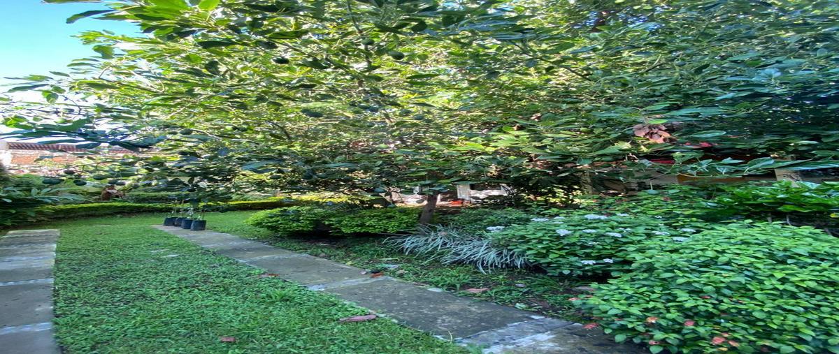 Foto de casa en venta en morelos , morelos, uruapan, michoacán de ocampo, 29506195 No. 03