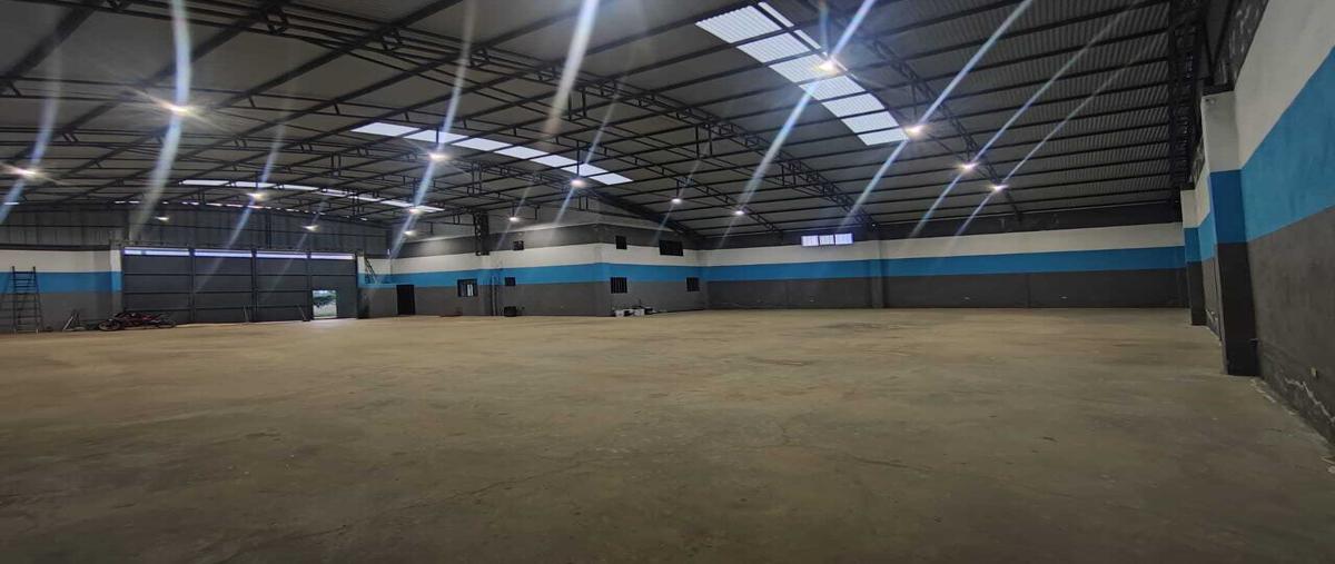 Foto de bodega en venta en  , morelos, morelos, zacatecas, 0 No. 04