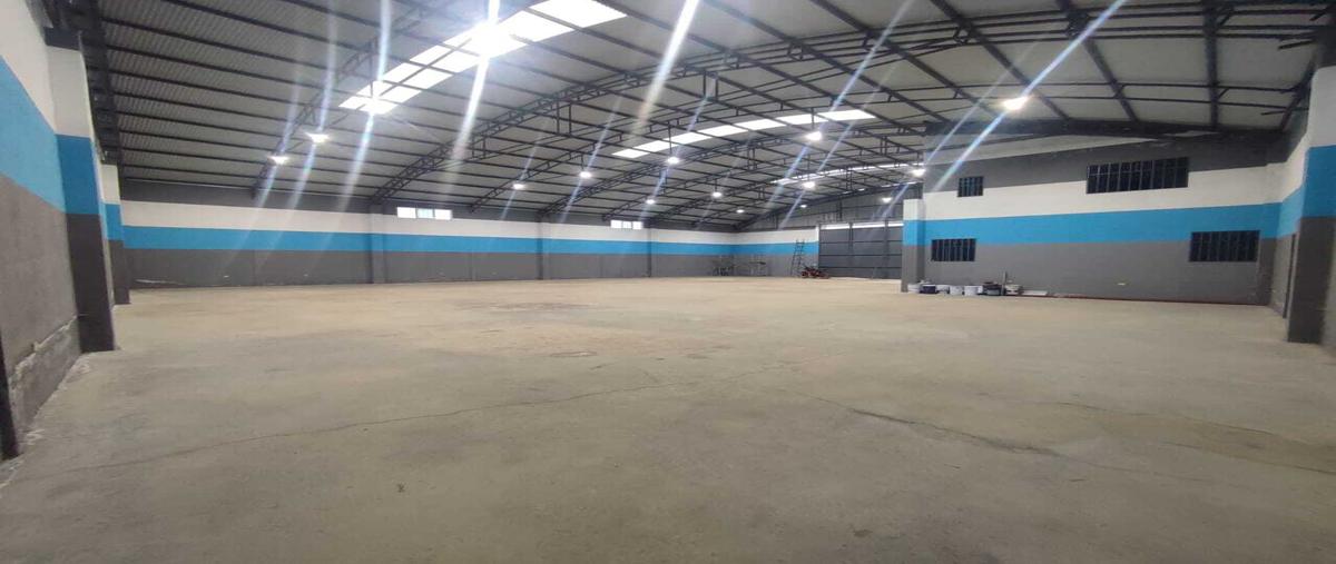 Foto de bodega en venta en  , morelos, morelos, zacatecas, 0 No. 05