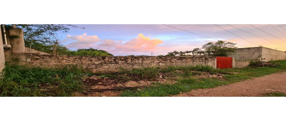 Foto de terreno habitacional en venta en  , morelos oriente, mérida, yucatán, 25268403 No. 03