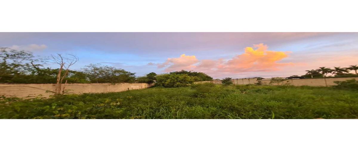 Foto de terreno habitacional en venta en  , morelos oriente, mérida, yucatán, 25268403 No. 04