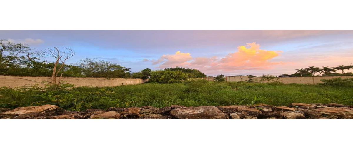 Foto de terreno habitacional en venta en  , morelos oriente, mérida, yucatán, 25268403 No. 05
