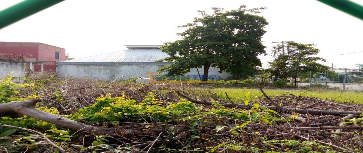 Foto de terreno habitacional en , morelos, poza rica de hidalgo, veracruz de ignacio de la llave, 0 foto 05 Foto de terreno habitacional en renta en , morelos, poza rica de hidalgo, veracruz de ignacio de la llave, 0 No. 05