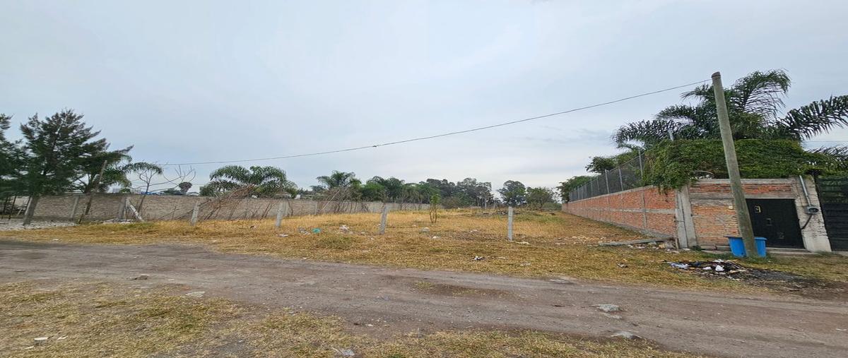 Foto de terreno comercial en venta en morelos , san sebastián el grande, tlajomulco de zúñiga, jalisco, 0 No. 03