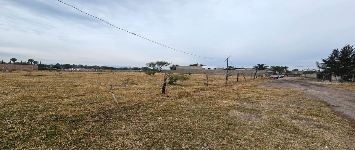 Foto de terreno habitacional en venta en morelos , san sebastián el grande, tlajomulco de zúñiga, jalisco, 0 No. 03