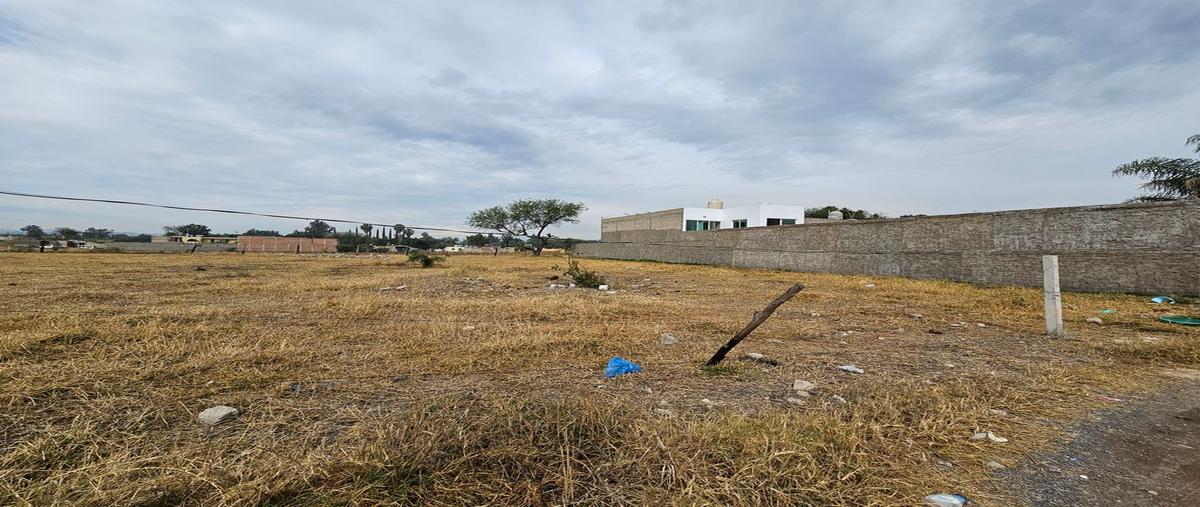 Foto de terreno habitacional en venta en morelos , san sebastián el grande, tlajomulco de zúñiga, jalisco, 0 No. 04