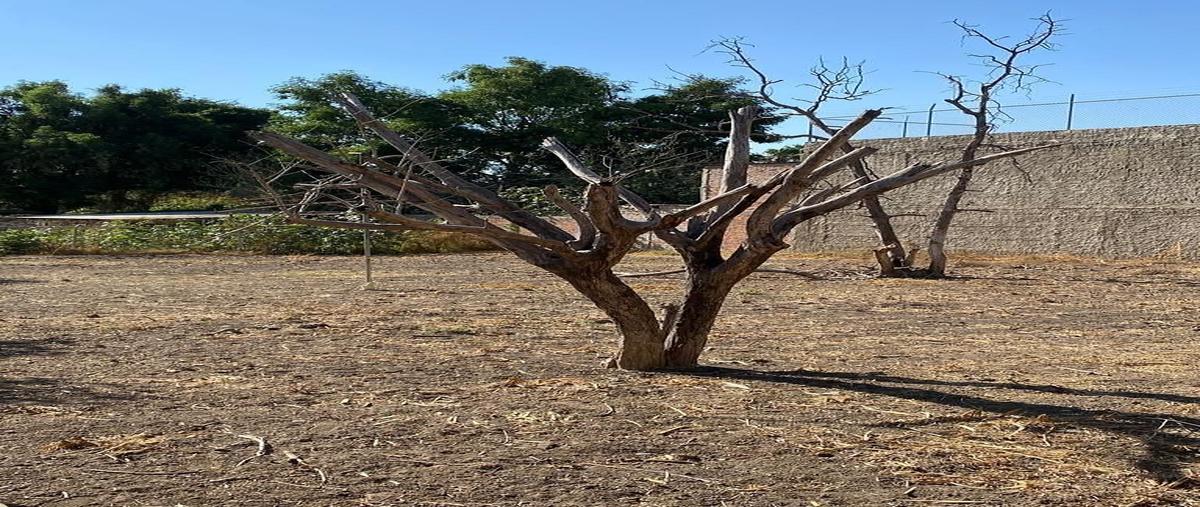 Foto de terreno habitacional en venta en morelos , santa cruz de las huertas, tonalá, jalisco, 0 No. 03