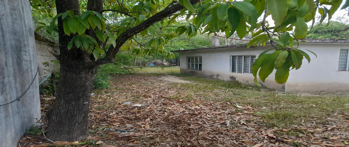 Foto de terreno habitacional en morelos , santa fe, gonzález, tamaulipas, 25294589 foto 03 Foto de terreno habitacional en venta en morelos , santa fe, gonzález, tamaulipas, 25294589 No. 03