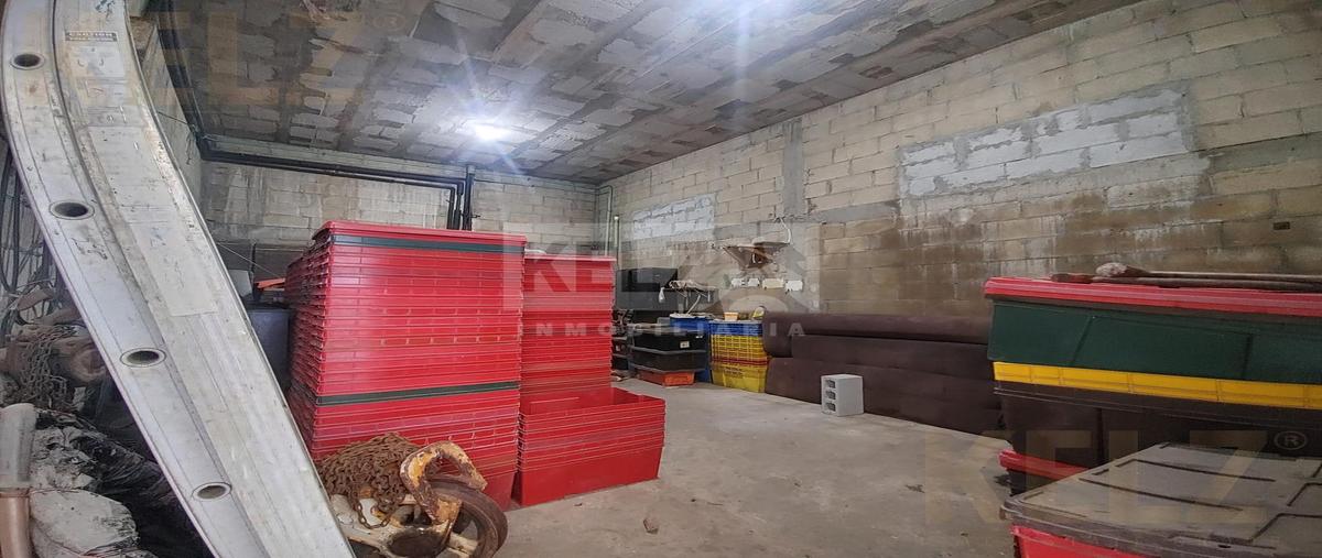 Foto de bodega en venta en  , morelos, tampico, tamaulipas, 0 No. 05