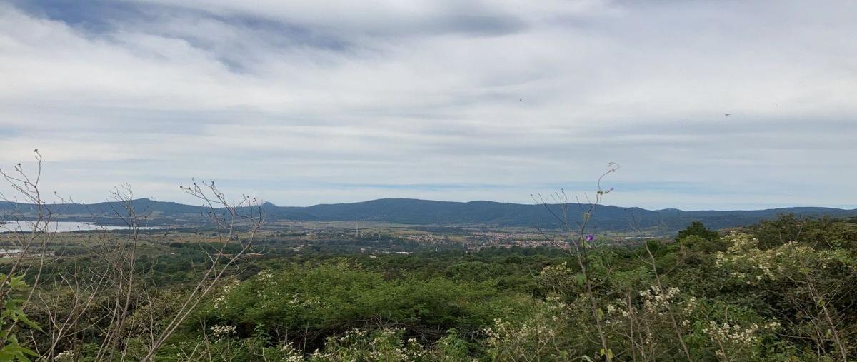 Foto de terreno habitacional en venta en morelos , tapalpa, tapalpa, jalisco, 29876312 No. 05