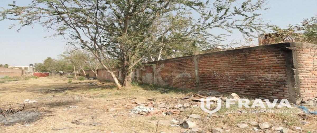 Foto de terreno habitacional en venta en morelos , tateposco, san pedro tlaquepaque, jalisco, 24993474 No. 03