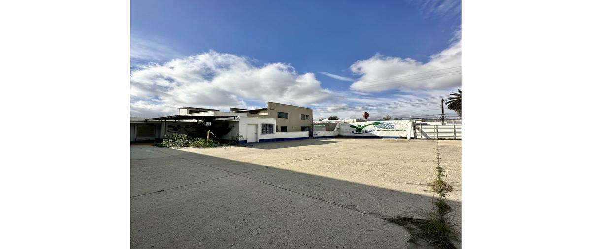 Foto de bodega en renta en  , morelos, tecate, baja california, 0 No. 05