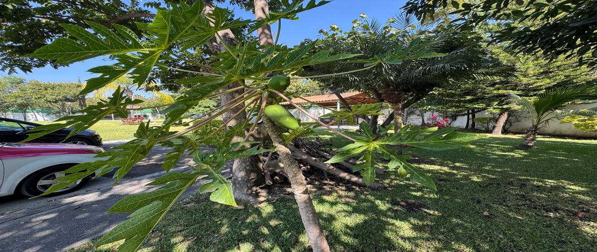 Foto de casa en , morelos, temixco, morelos, 0 foto 04 Foto de casa en venta en , morelos, temixco, morelos, 0 No. 04