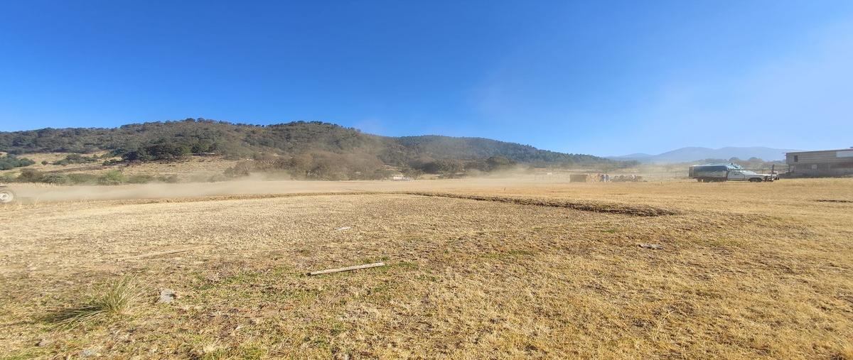 Foto de terreno habitacional en morelos , xalatlaco, xalatlaco, méxico, 24196138 foto 03 Foto de terreno habitacional en venta en morelos , xalatlaco, xalatlaco, méxico, 24196138 No. 03