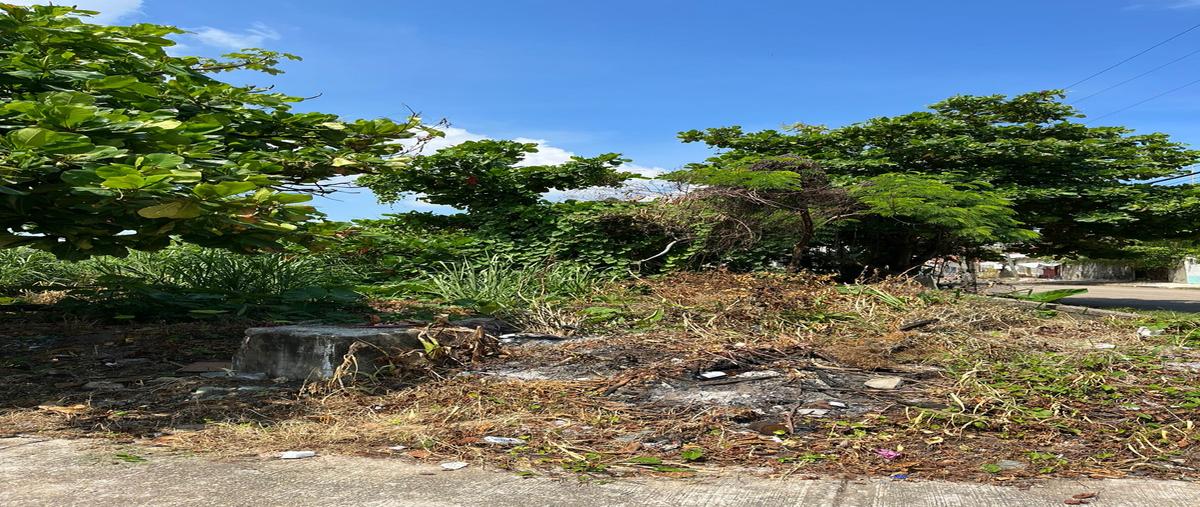 Foto de terreno habitacional en venta en moreno # 206 entre niños heroes ypipila , esfuerzo de los hermanos del trabajo, coatzacoalcos, veracruz de ignacio de la llave, 26935854 No. 05