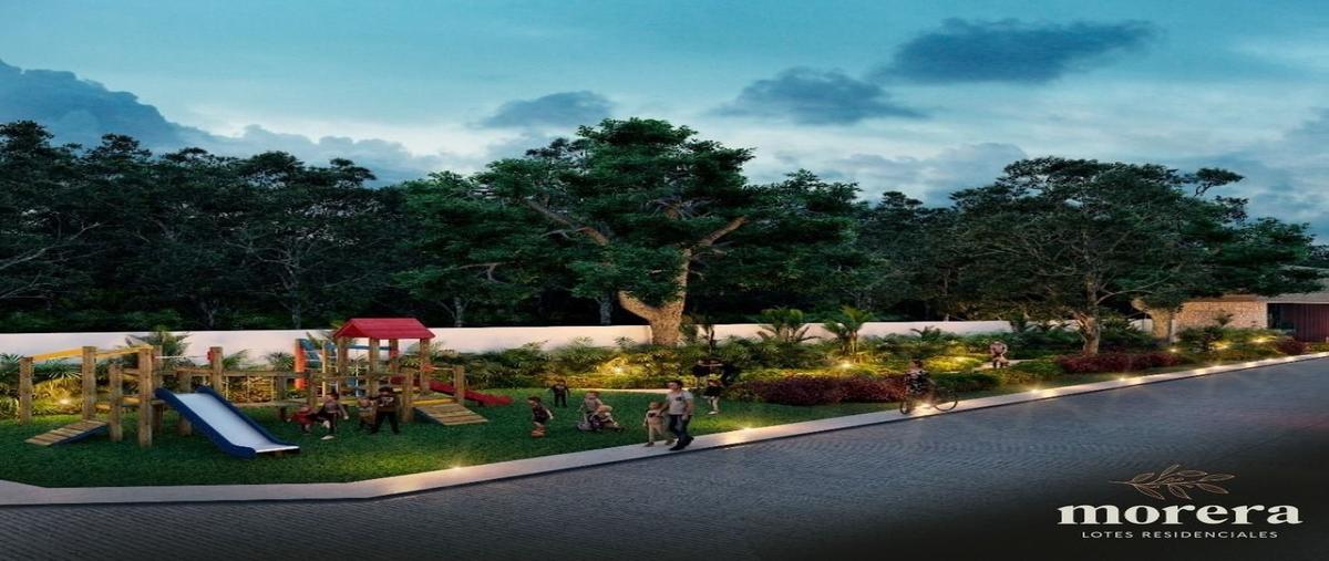 Foto de terreno habitacional en morera , cholul, mérida, yucatán, 25094539 foto 02 Foto de terreno habitacional en venta en morera , cholul, mérida, yucatán, 25094539 No. 02