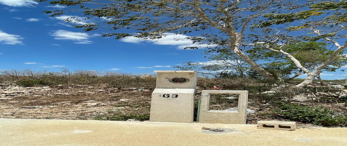 Foto de terreno habitacional en venta en morera , cholul, mérida, yucatán, 0 No. 06