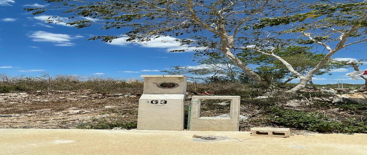 Foto de terreno habitacional en venta en morera , cholul, mérida, yucatán, 0 No. 07