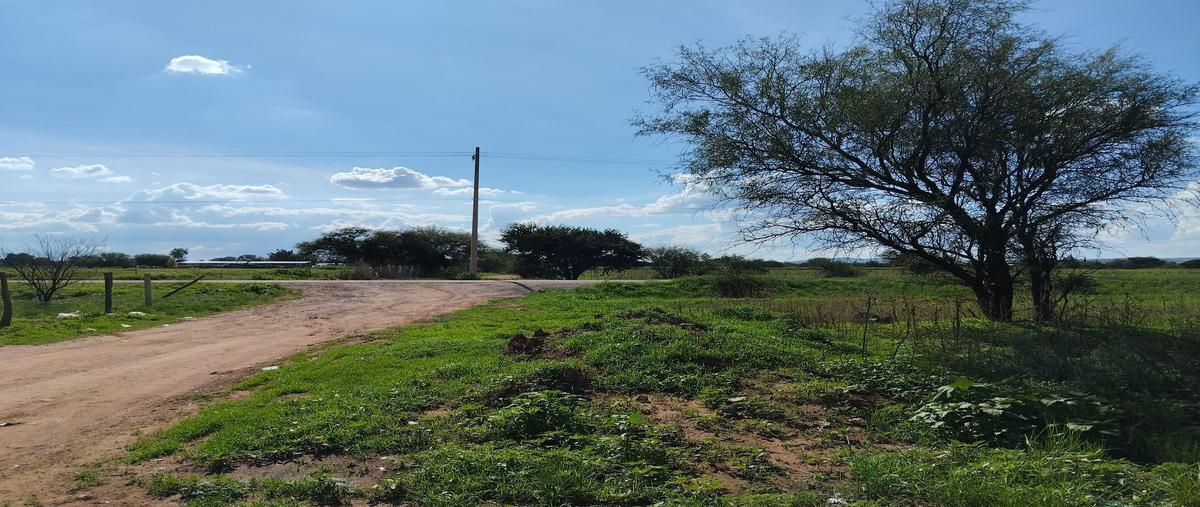 Foto de terreno habitacional en venta en morfin chavez , fresnillo centro, fresnillo, zacatecas, 25455843 No. 03