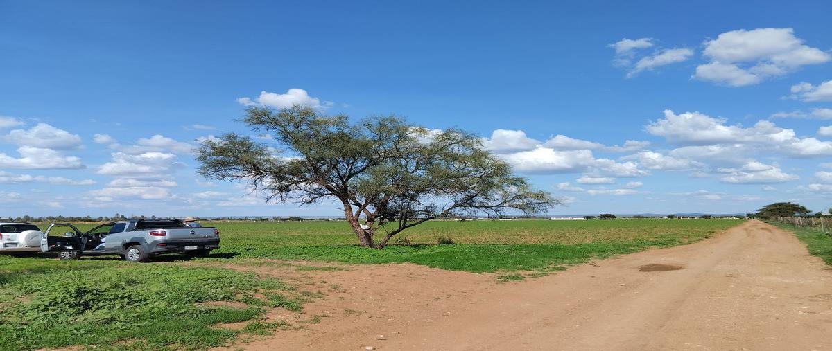 Foto de terreno habitacional en venta en morfin chavez , fresnillo centro, fresnillo, zacatecas, 25455843 No. 04