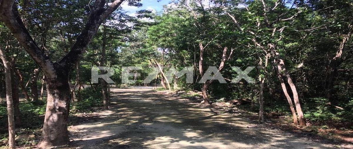 Foto de terreno habitacional en venta en morgana , el tigrillo, solidaridad, quintana roo, 0 No. 03