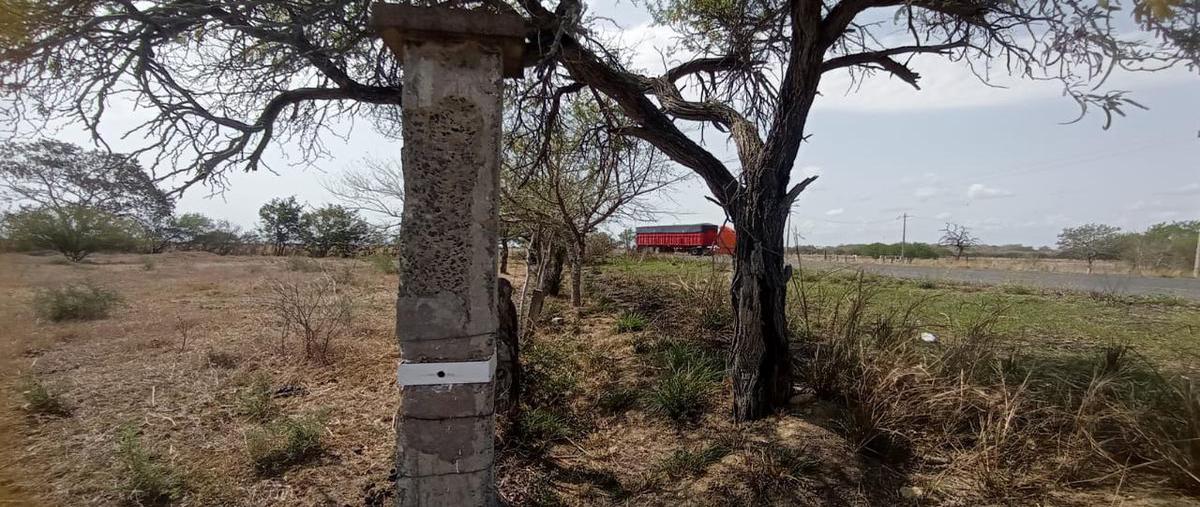 Foto de terreno habitacional en venta en  , moron, aldama, tamaulipas, 0 No. 03