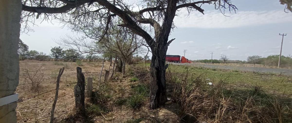 Foto de terreno habitacional en venta en  , moron, aldama, tamaulipas, 0 No. 04