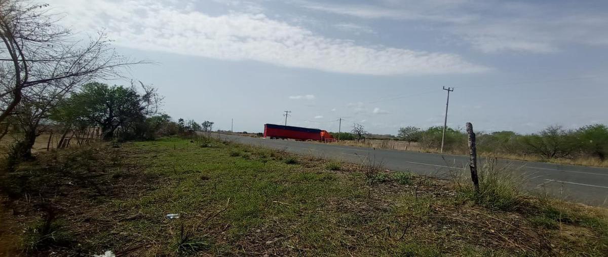 Foto de terreno habitacional en venta en  , moron, aldama, tamaulipas, 0 No. 05