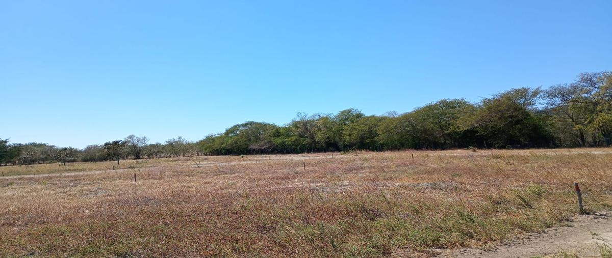 Foto de terreno habitacional en , morro de mazatan, santo domingo tehuantepec, oaxaca, 0 foto 05 Foto de terreno habitacional en venta en , morro de mazatan, santo domingo tehuantepec, oaxaca, 0 No. 05