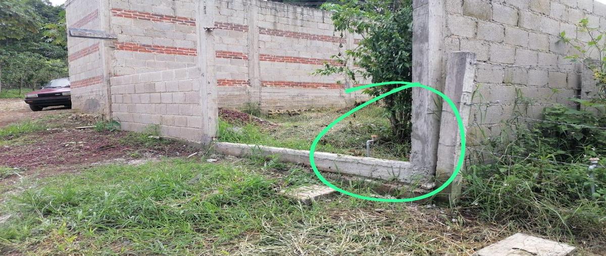 Foto de terreno habitacional en , mosvic, coatepec, veracruz de ignacio de la llave, 0 foto 04 Foto de terreno habitacional en venta en , mosvic, coatepec, veracruz de ignacio de la llave, 0 No. 04