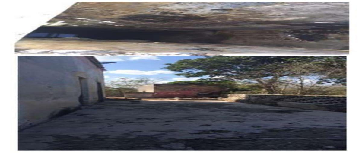 Foto de terreno habitacional en venta en  , motul de carrillo puerto centro, motul, yucatán, 13241568 No. 05