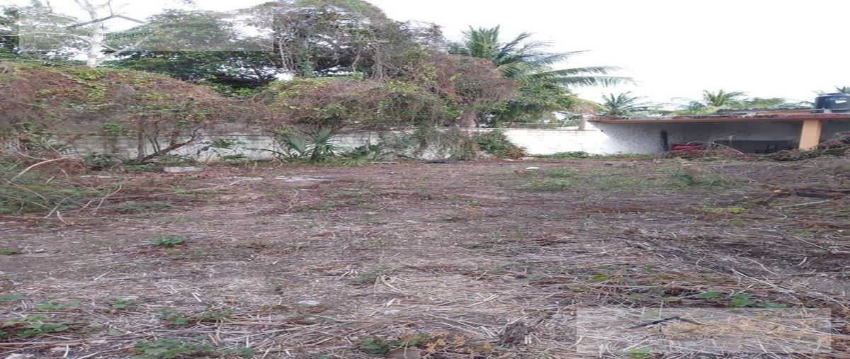 Foto de terreno habitacional en venta en  , motul de carrillo puerto centro, motul, yucatán, 22414599 No. 04