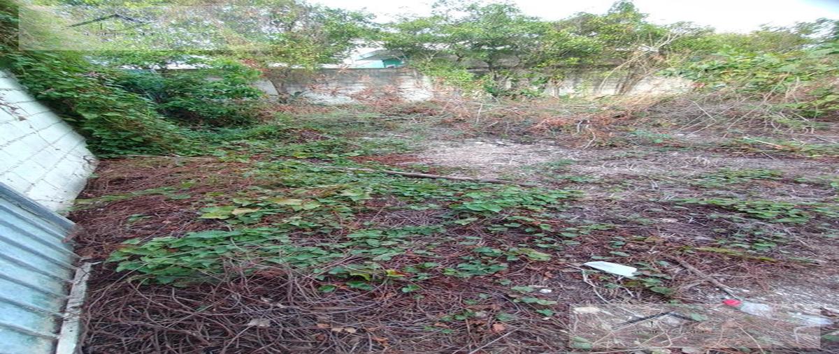 Foto de terreno habitacional en venta en  , motul de carrillo puerto centro, motul, yucatán, 22414599 No. 05