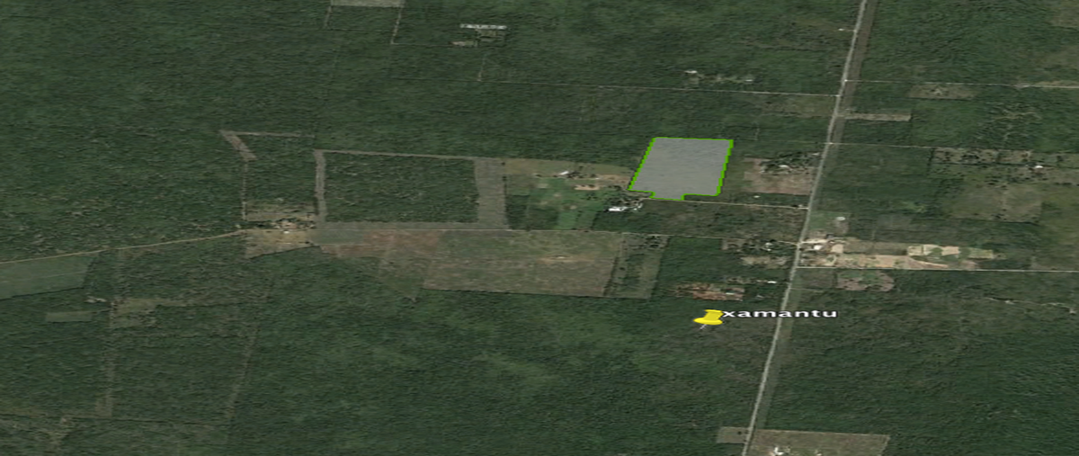 Foto de terreno habitacional en venta en  , motul de carrillo puerto centro, motul, yucatán, 27722630 No. 03