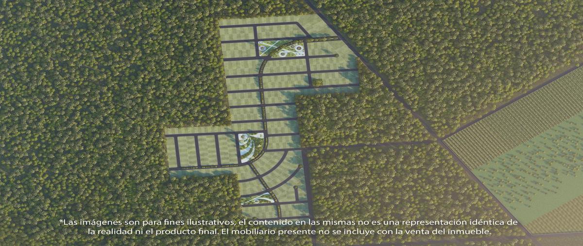 Foto de terreno habitacional en , motul de carrillo puerto centro, motul, yucatán, 0 foto 05 Foto de terreno habitacional en venta en , motul de carrillo puerto centro, motul, yucatán, 0 No. 05