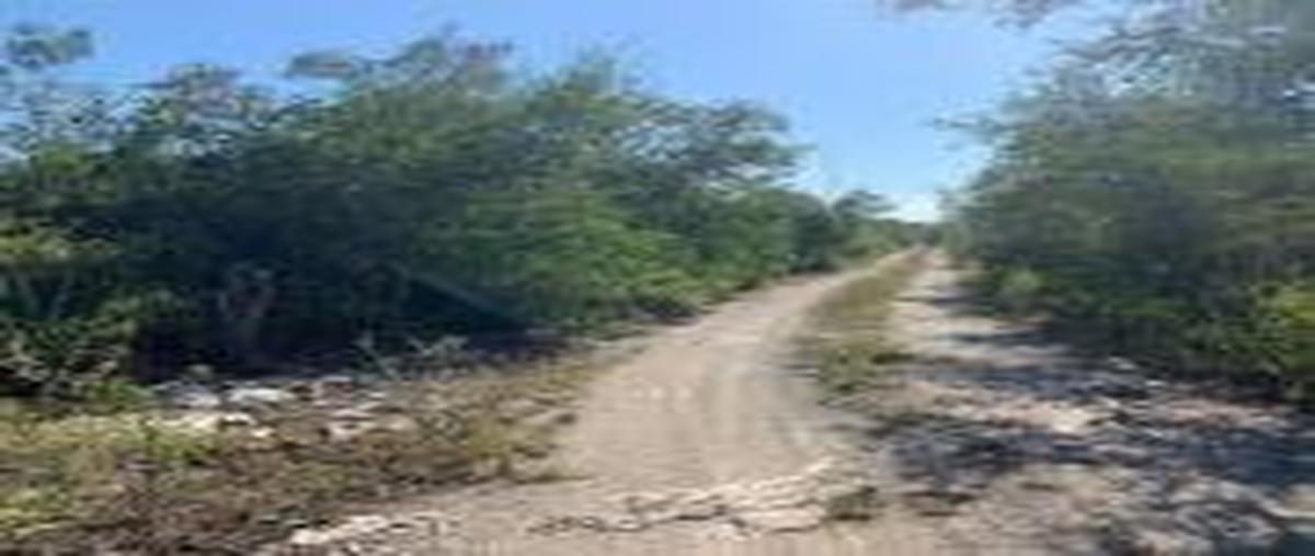 Foto de terreno habitacional en , motul de carrillo puerto centro, motul, yucatán, 0 foto 05 Foto de terreno habitacional en venta en , motul de carrillo puerto centro, motul, yucatán, 0 No. 05