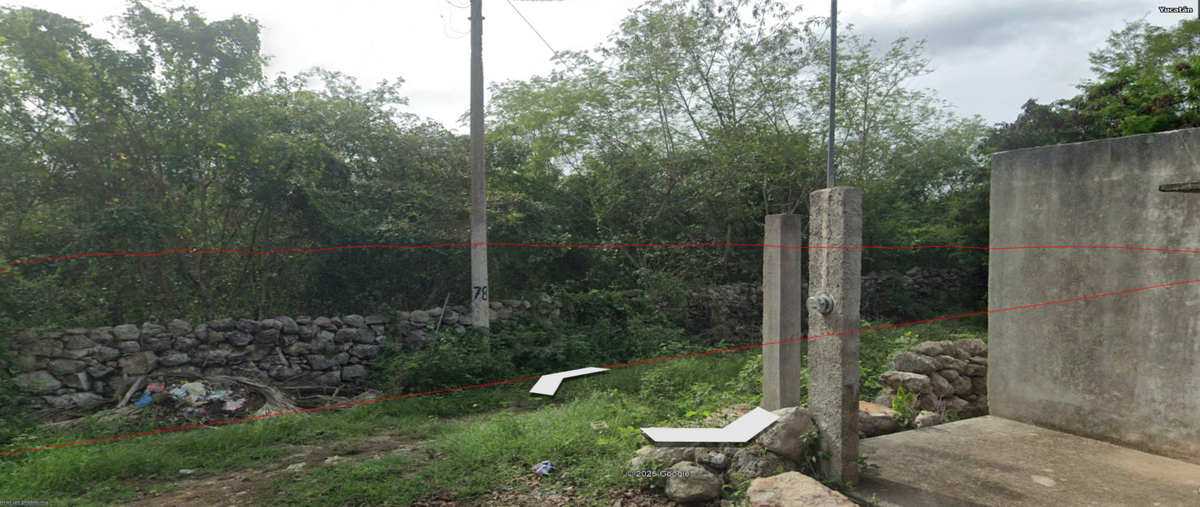 Foto de terreno habitacional en venta en  , motul de carrillo puerto centro, motul, yucatán, 0 No. 03