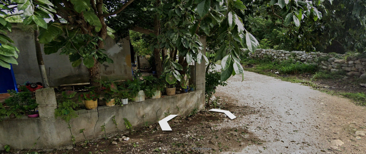Foto de terreno habitacional en venta en  , motul de carrillo puerto centro, motul, yucatán, 0 No. 04