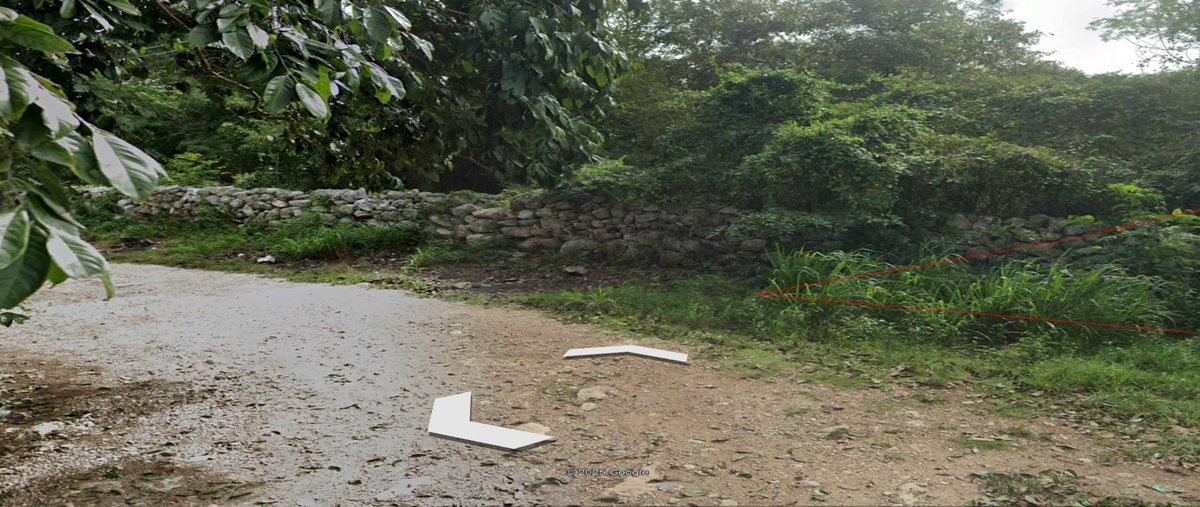 Foto de terreno habitacional en venta en  , motul de carrillo puerto centro, motul, yucatán, 0 No. 05