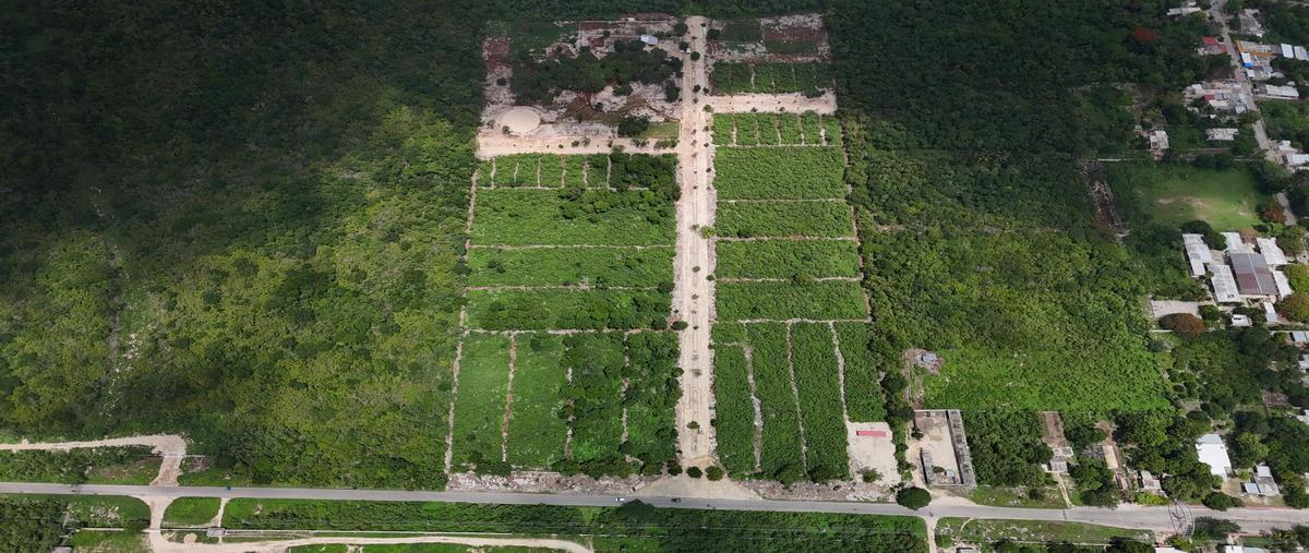 Foto de terreno habitacional en , motul de carrillo puerto centro, motul, yucatán, 30226323 foto 03 Foto de terreno habitacional en venta en , motul de carrillo puerto centro, motul, yucatán, 30226323 No. 03