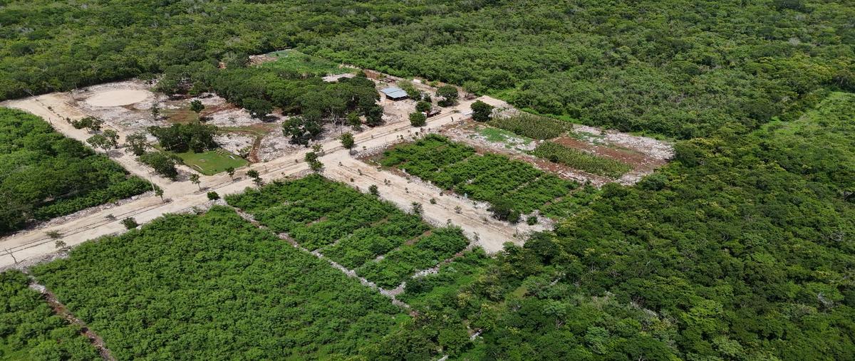 Foto de terreno habitacional en , motul de carrillo puerto centro, motul, yucatán, 30226323 foto 04 Foto de terreno habitacional en venta en , motul de carrillo puerto centro, motul, yucatán, 30226323 No. 04