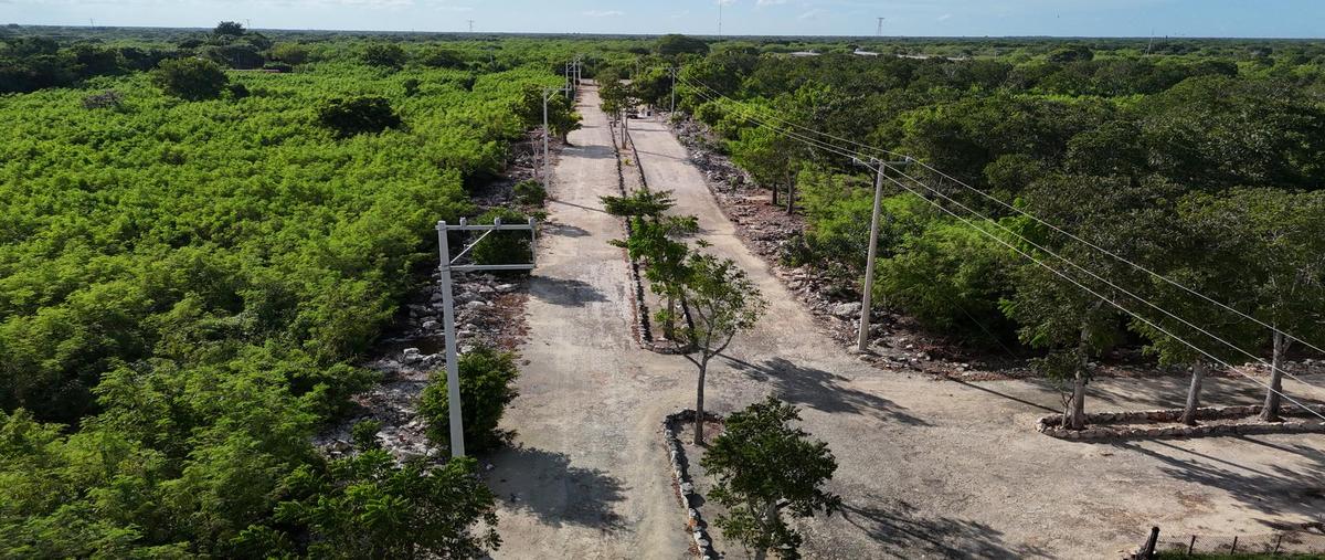 Foto de terreno habitacional en venta en  , motul de carrillo puerto centro, motul, yucatán, 30233012 No. 03