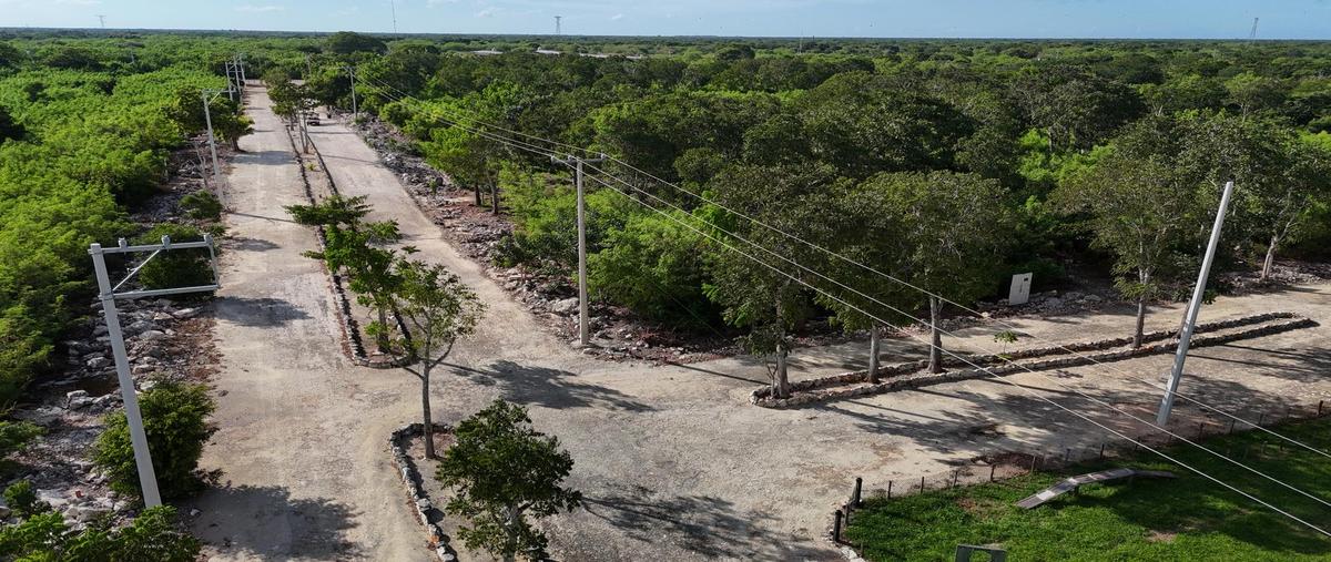 Foto de terreno habitacional en venta en  , motul de carrillo puerto centro, motul, yucatán, 30233012 No. 04