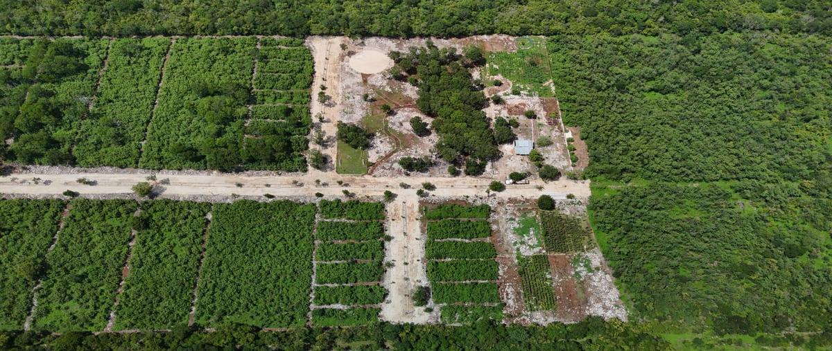 Foto de terreno habitacional en venta en  , motul de carrillo puerto centro, motul, yucatán, 30233012 No. 05