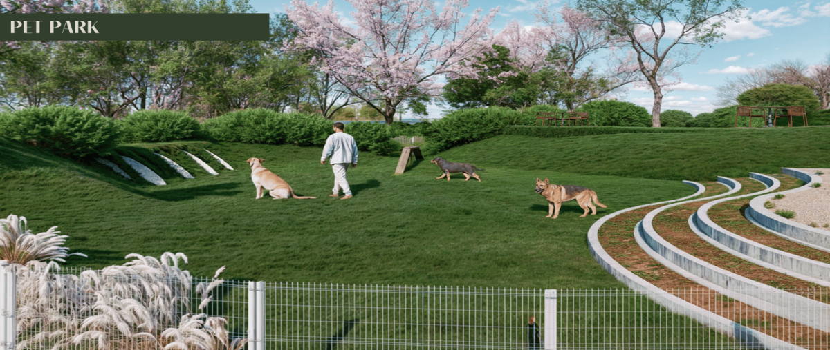 Foto de terreno habitacional en venta en . , motul de carrillo puerto centro, motul, yucatán, 30562276 No. 04