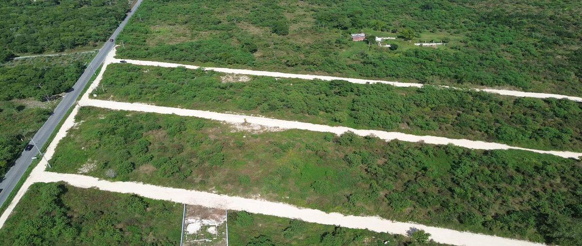 Foto de terreno habitacional en venta en  , motul de carrillo puerto centro, motul, yucatán, 30644492 No. 03